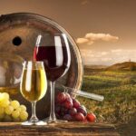 Montepulciano Wine Tasting and Assisi Private Day Tour from Rome - Who Is This Tour Best For?