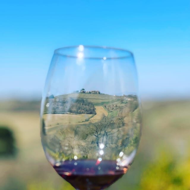 Montepulciano: Wine Tour and tasting - Who Is This Tour Best Suited For?