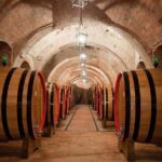 Montepulciano: Winery Tour & Tasting Experience - The Value for Money