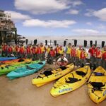 Monterey Bay Full-Day Kayak Rental: Otters, Seals and Sea Lions - Why This Kayak Rental Stands Out