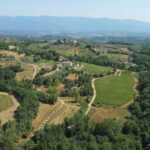 Montevarchi: tour of the estate and tasting of 5 wines, 1 oil - What We Think: Is This Tour Worth It?