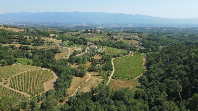 Montevarchi: tour of the estate and tasting of 5 wines, 1 oil - What We Think: Is This Tour Worth It?