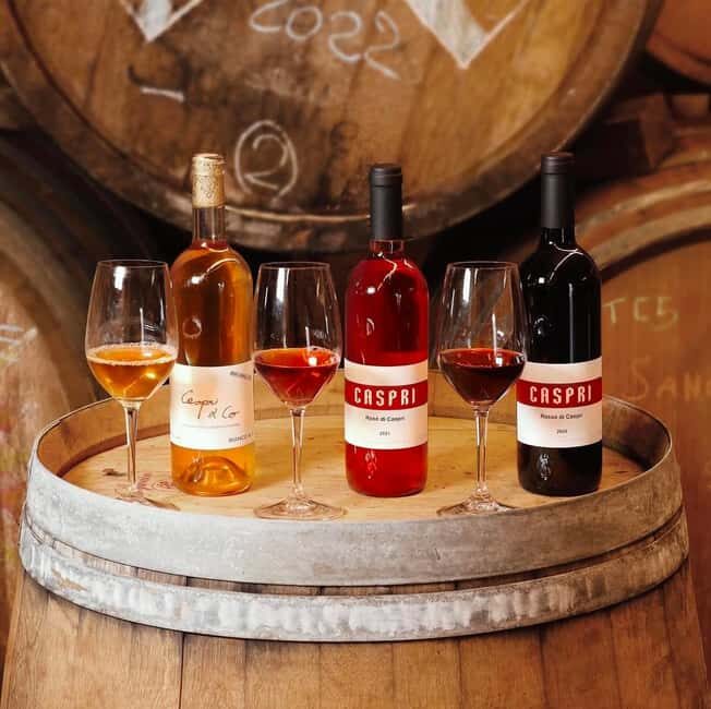 Montevarchi: Visit the estate and taste 2 wines - What to Expect from the Experience