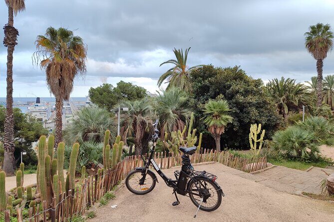 Montjuic Barcelona: Panoramic eBike Tour Views & Tapas stop - The Experience: What We Think