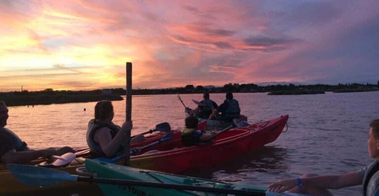 Montpellier : Birdwatching by kayak in the Camargue - Who Should Consider This Tour?