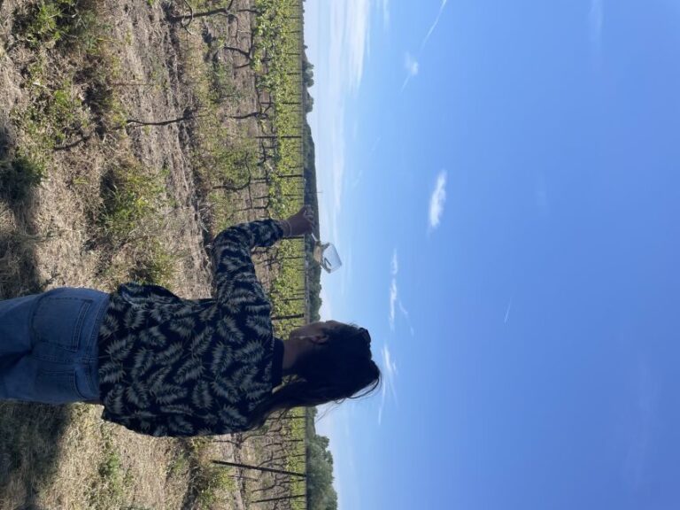 Montpellier : half day wine tour in Camargue - Final Thoughts