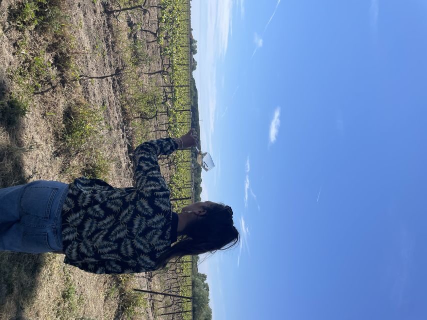 Montpellier : half day wine tour in Camargue - Final Thoughts