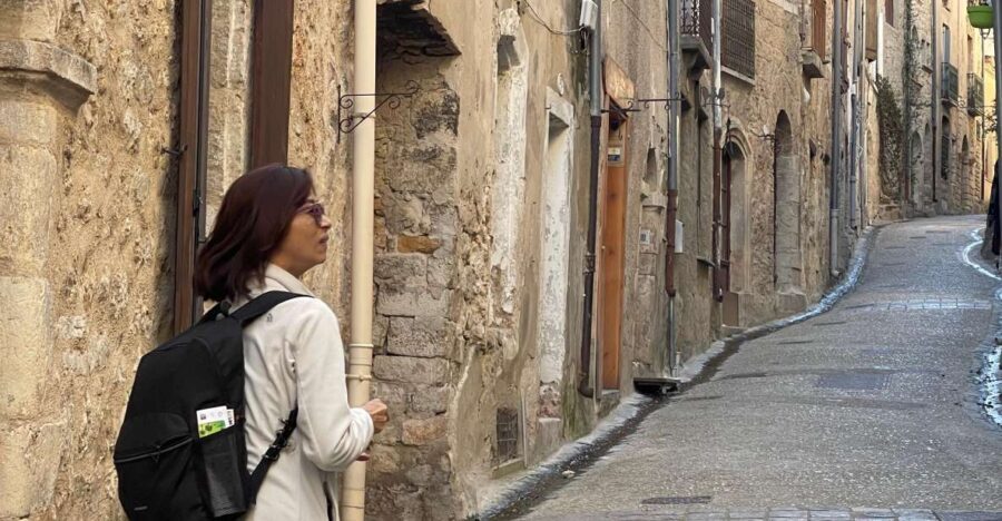 Montpellier: St. Guilhem le Désert and Moureze Day-Trip - The Logistics: Comfort, Timing, and Value