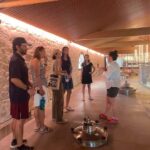 Montpellier : Wine Tour Pic St Loup - A Closer Look at the Itinerary