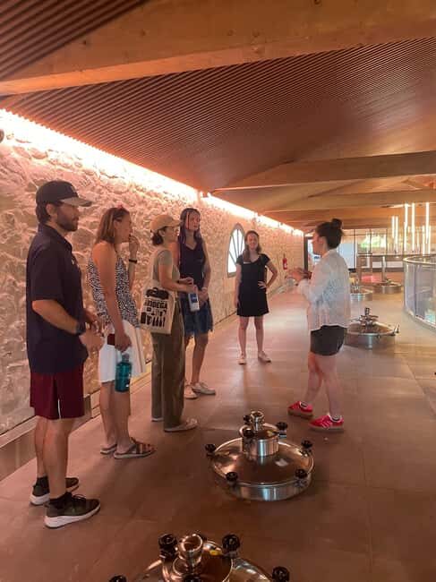 Montpellier : Wine Tour Pic St Loup - A Closer Look at the Itinerary