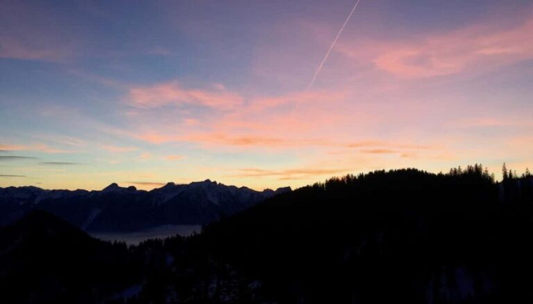 Montreux: Snowshoe Trek with Fondue and Wine - The Cozy Finish: Fondue and Local Wine