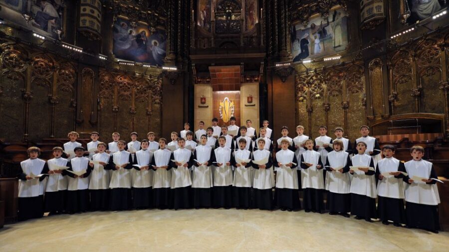 Montserrat & Cava Wineries Day Trip from Barcelona w/ Pickup - How the Day is Structured