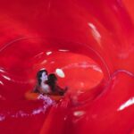 Monza: Acquaworld Experience with Entry Tickets - The Practicalities: What’s Included and What’s Not