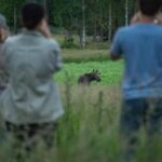 Moose safari with campfire dinner from Helsinki - Final Thoughts: Is It Worth It?