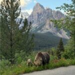 Moraine Lake, Lake Louise Afternoon Tour Half day From Banff - A Closer Look at the Itinerary