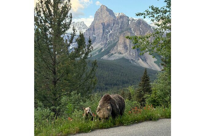 Moraine Lake, Lake Louise Afternoon Tour Half day From Banff - A Closer Look at the Itinerary