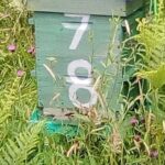Morbihan: Beekeeping experience at Le Tour Du Parc - The Experience in Detail: A Closer Look