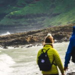 Morning Giants Causeway Half Day Tour from Belfast - The Real-World Feedback