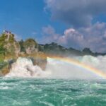 Morning group tour to Rhine falls - What the Reviews Say