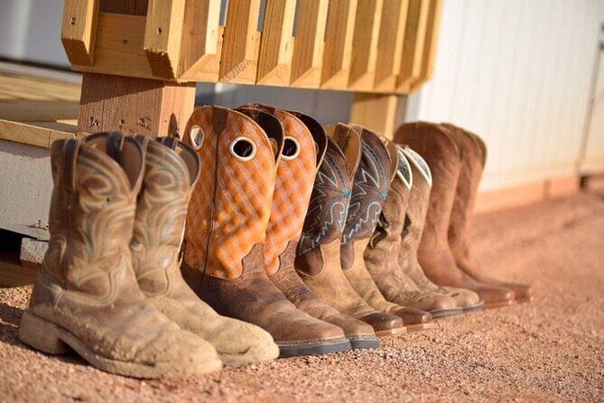 Morning Horseback Ride with Breakfast from Las Vegas - What the Reviews Say: Authentic Feedback