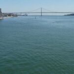 Morning Sailing Tour in Tagus River from Lisbon - The Experience in Detail: What You’ll See and Feel