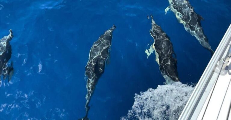 Morro Jable: Sailing Boat Excursion with Food and Drinks - Is It Worth the Price?