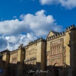 Mosque-Cathedral of Cordoba: Entry Ticket and Guided Tour - Who Should Consider This Tour?