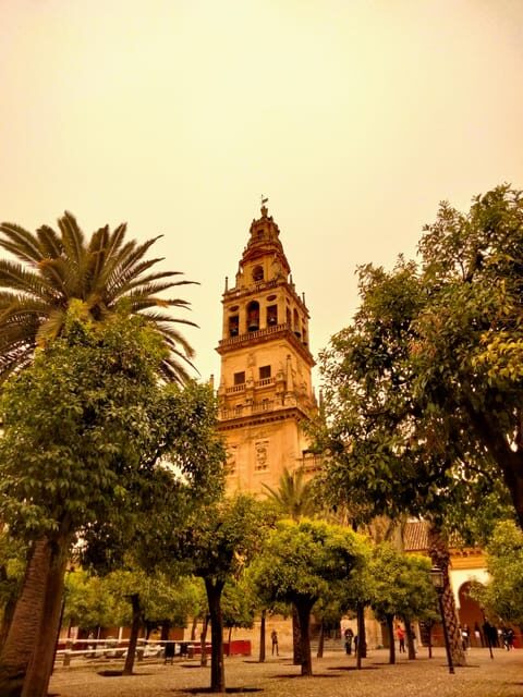 Mosquée Cathédrale tour guidé en petit group en français - The Value of This Tour