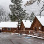 Mount Charleston Tour - Value for Money and Practical Considerations