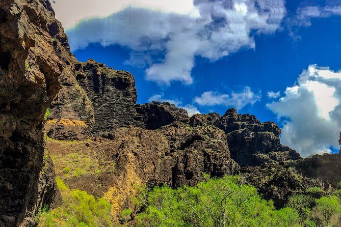 Mount Teide and Teno Country Park Private Tour - Why You’ll Love This Tour