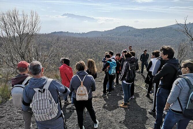 Mount Vesuvius tour by bus and ticket included from Ercolano - Who Is This Tour Best For?