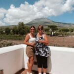 Mount Vesuvius: Vineyards Tour with Wine Tasting and Lunch - The Practical Side: Logistics and Value