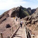 Mount Vesuvius & Wine Tasting with Lunch Private Tour - What to Expect from the Tour