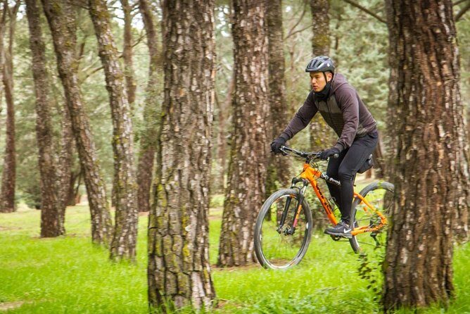 Mountain bike RENTAL one day (24 hours) all extras included. - Price and Value Analysis
