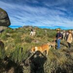 Mountain Horseback Ride, Lunch, Wine Tasting - The Culinary Experience