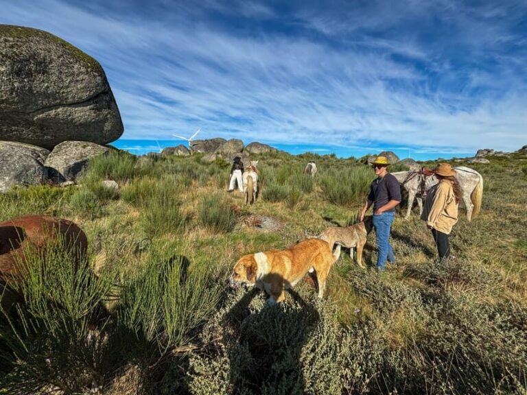 Mountain Horseback Ride, Lunch, Wine Tasting - The Culinary Experience