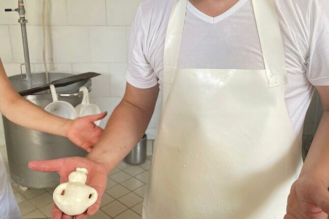 Mozzarella Experience with Tasting in Vico Equense - What to Expect from the Mozzarella Experience