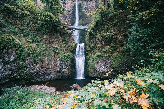 Mt Hood, Waterfalls, and Wine Tour with Tasting Fees Included - Why This Tour Works for Travelers