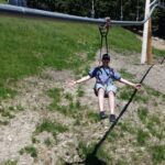 Mt. Pilatus Golden Roundtrip Private Day Trip from Basel - Ascending to the Mountains: The Cogwheel Railway