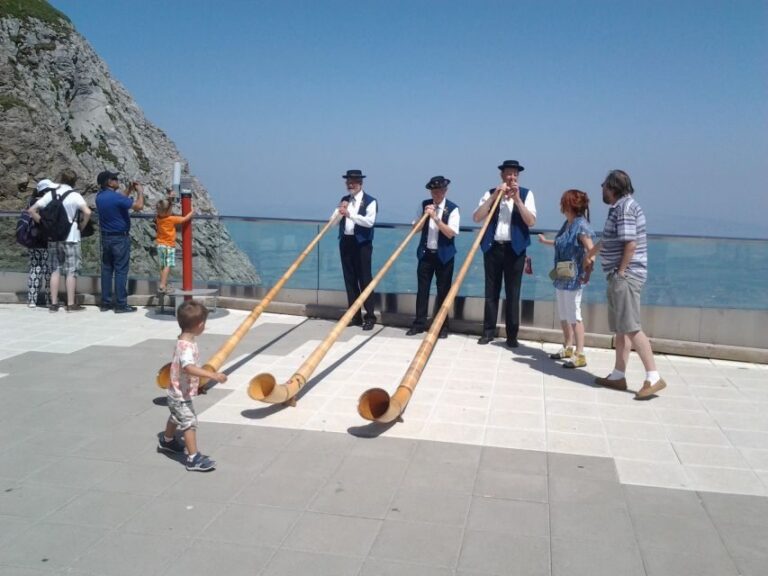 Mt. Pilatus Golden Roundtrip Private Day Trip from Luzern - Who Should Consider This Tour?