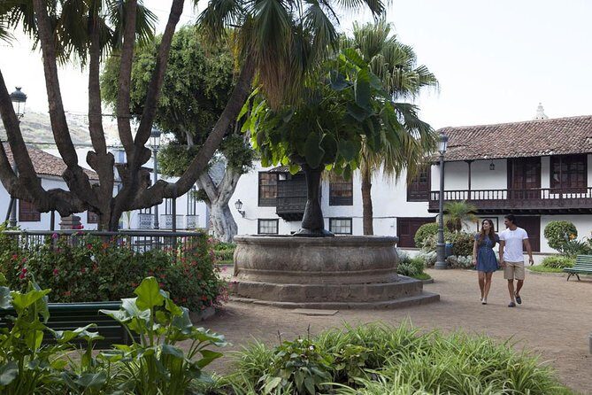 Mt. Teide and Masca Valley Tour in Tenerife - The Experience: What Youll Actually Feel