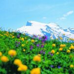 Mt Titlis Glacier Paradise Tour from Zurich With Lucerne - An Overview of the Tour