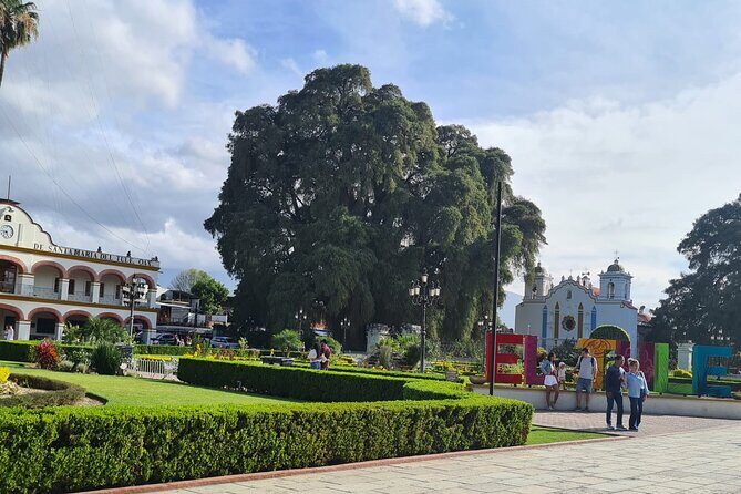 MTB Bike Tour: Tree of the Tule on mountain trails - The Riding Experience: Trails and Views