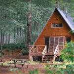 Mtirala National Park 2-Day Guided Hiking Tour from Kutaisi - Is It Worth the Cost?