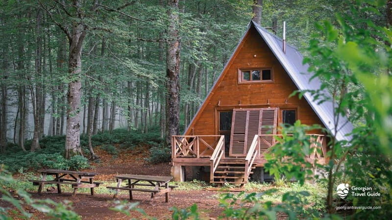 Mtirala National Park 2-Day Guided Hiking Tour from Kutaisi - Is It Worth the Cost?