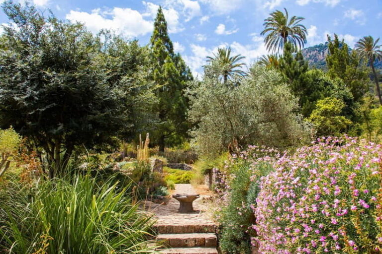 MUCBO | Jardí Botànic de Sóller - Balearic Museum of Natural Sciences - Who Would Love This?