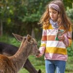 Müden: Wildlife Park Entry Ticket - FAQ