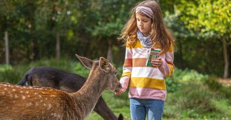 Müden: Wildlife Park Entry Ticket - FAQ