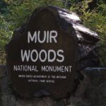 Muir Woods, Sausalito and Tiburon Day Trip from San Francisco - Who Would Enjoy This Tour?