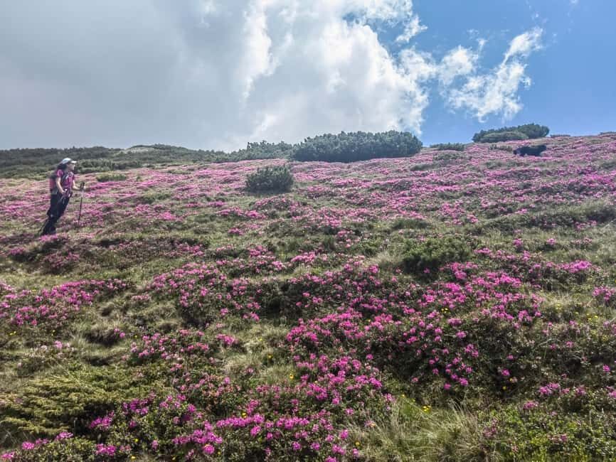 Multi day tour: Piatra Craiului & Bucegi Mountains - What to Expect from the Itinerary